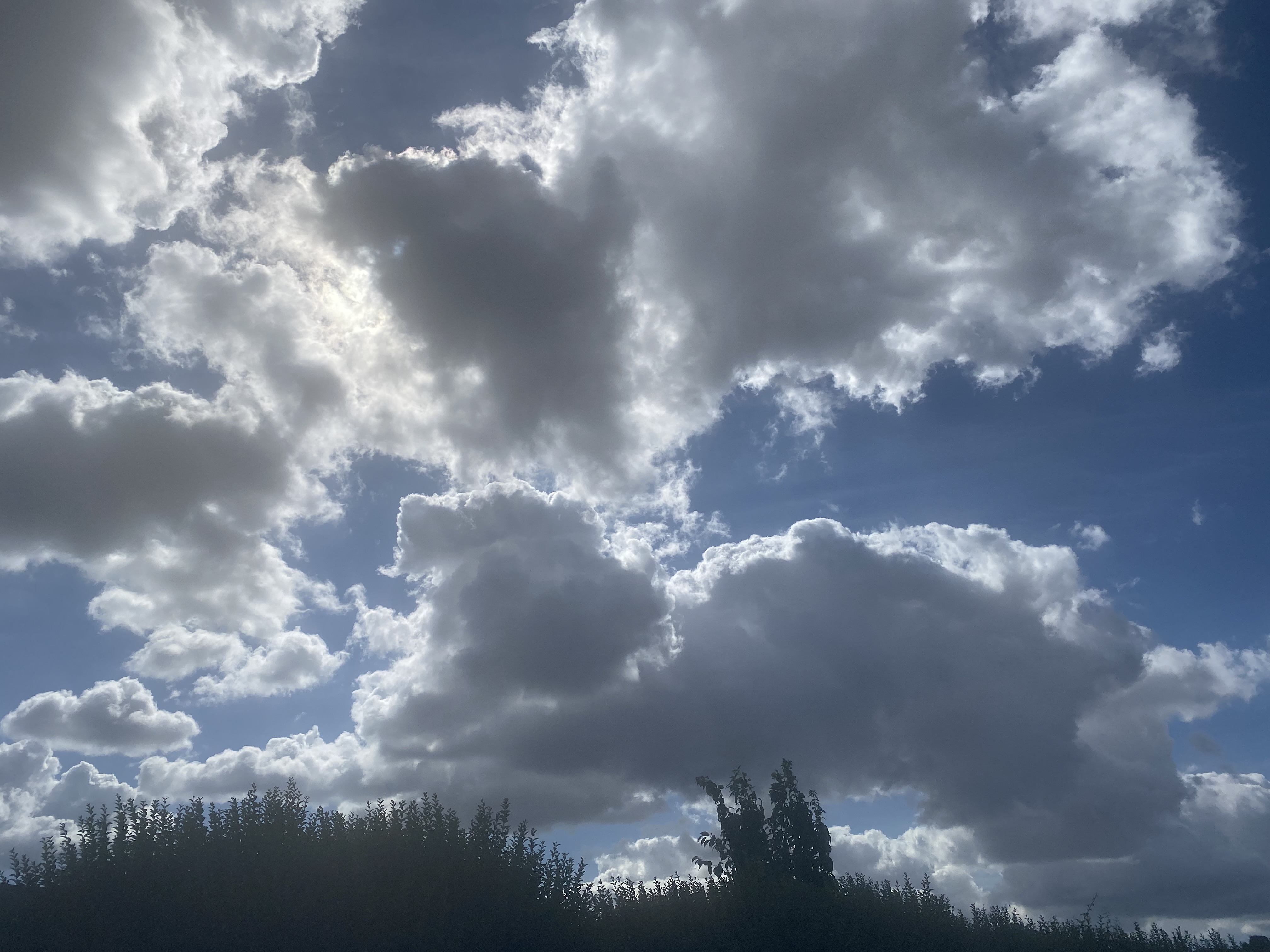 Grey clouds in a blue sky. 