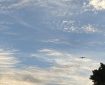 A Seagull gliding beneath the clouds. Morning Meditation: A static condition is not the right zazen. Rindo Fujimoto Roshi