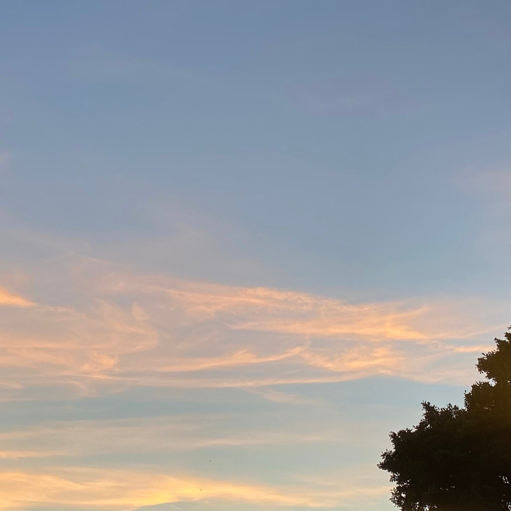 Colourful clouds in an evening sky.