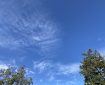 Beautiful clouds over Totnes. Morning Meditation: Awareness is a natural state; it’s normal. It isn’t a compounded state that depends on other conditions. Ajahn Sumedho