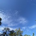 Another wonderful sky over Totnes. Morning Meditation: Buddhahood comes from cultivation of the. self-nature within us. Do not seek it outside the body. When your self-nature is under delusion, you are ordinary people, but when your self-nature is awakened and alert, you are Buddhas. Hui Neng