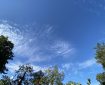 Another wonderful sky over Totnes. Morning Meditation: Buddhahood comes from cultivation of the. self-nature within us. Do not seek it outside the body. When your self-nature is under delusion, you are ordinary people, but when your self-nature is awakened and alert, you are Buddhas. Hui Neng