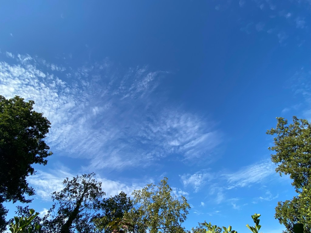 Another wonderful sky over Totnes.