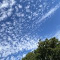 Altocumulus clouds like this often shows up ahead of a change in the weather — sometimes called a ‘mackerel sky’ when it’s this ripple effect. Morning Meditation: We are powerless to change the past, but the moment has endless possibilities. Zen Graffiti
