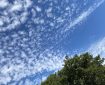 Altocumulus clouds like this often shows up ahead of a change in the weather — sometimes called a ‘mackerel sky’ when it’s this ripple effect. Morning Meditation: We are powerless to change the past, but the moment has endless possibilities. Zen Graffiti