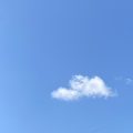 Seagull gliding below the clouds. Morning Meditation: Being lost among the causes of suffering is to abandon supreme happiness. Why do you delight in unhappiness? ‘Engaging deeds of Bodhisattva’