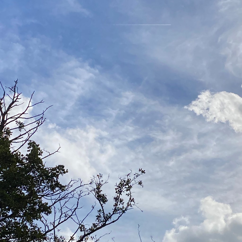 Another big sky over Totnes.
