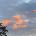 Sunset over Totnes. Morning Meditation: Buddha rarely spoke of his own personal experiences of enlightenment. He knew that to focus on the experiences themselves could lead to attachment, to the mistaken belief that awakening is a particular state of mind to be achieved.
