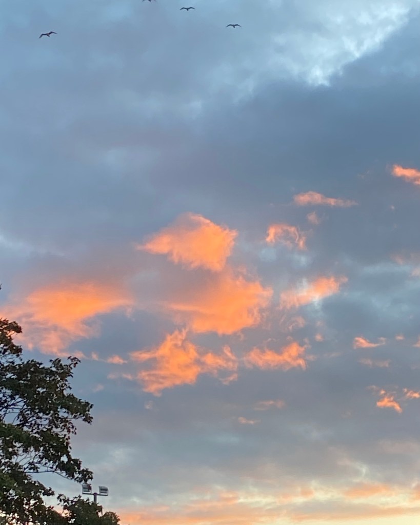 Sunset over Totnes.
