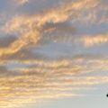Layers of clouds in the sunset. Morning Meditation: May all beings realise the freedom of contentment.