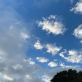 Mixed clouds in a blue sky. Morning Meditation: The mind is an affirmative phenomenon, but on the ordinary level it is obscured by concepts. Dalai Lama