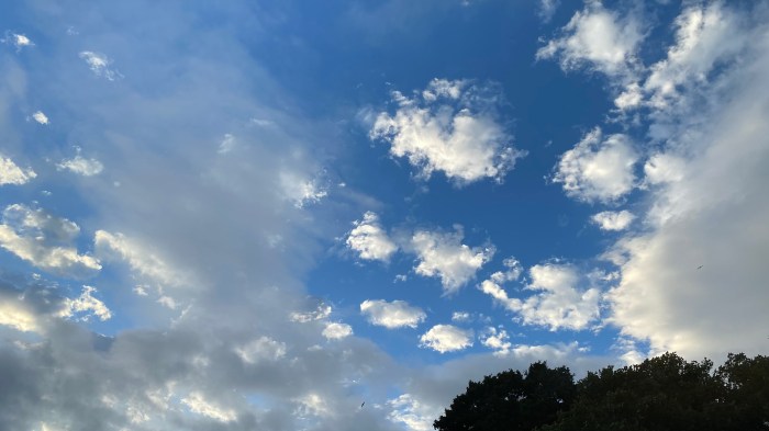 Mixed clouds in a blue sky. Morning Meditation: The mind is an affirmative phenomenon, but on the ordinary level it is obscured by concepts. Dalai Lama
