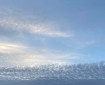 Two seagulls flying in a big sky over Totnes. Morning Meditation: May all those lost in the pain of jealousy, find delight in the success of others.