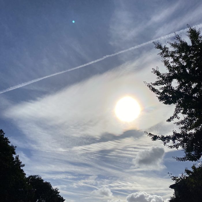 Big sun in a big sky. Morning Meditation: If it was only a matter of time, we’d all have been Buddhas long ago. Zen Graffiti