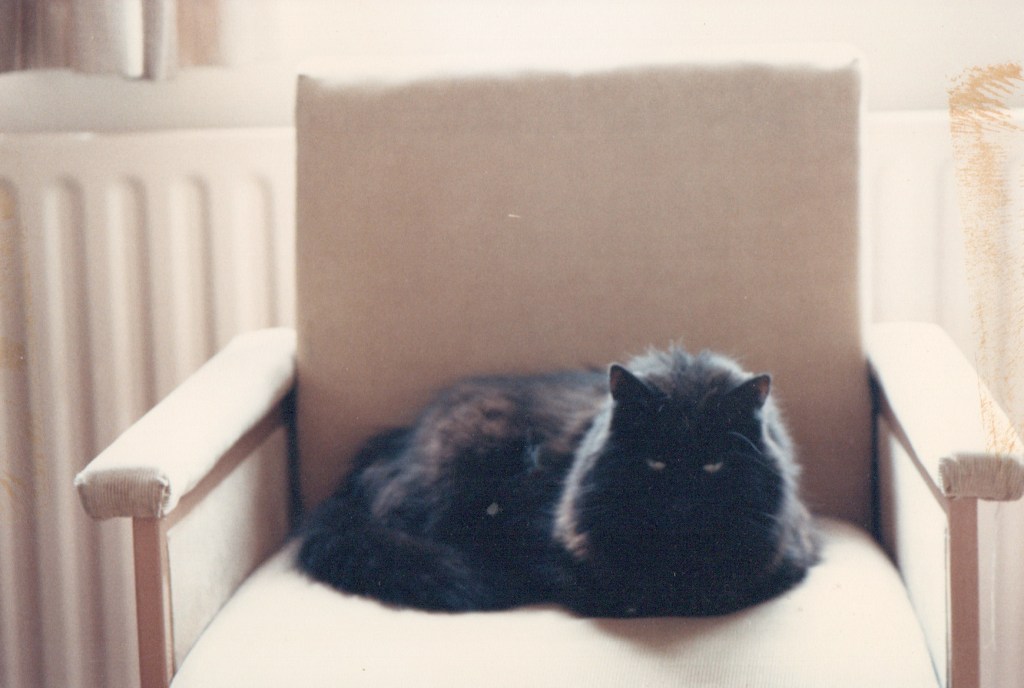 Yeshe in her chair.
