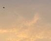 Yellow sky over Totnes. Morning Meditation: All the dusts are entirely yours; all the dharmas are not someone else's. Follow the current and paddle along, naturally unobstructed! Hongzhi Zhengjue