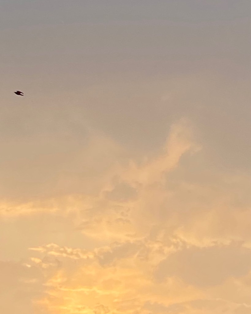 Yellow sky over Totnes.