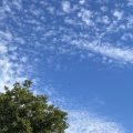 Big sky over Totnes. The Four Stages as described in the Pali Canon are reflective teachings aimed at getting perspective on our own experience. Ajahn Sumedho