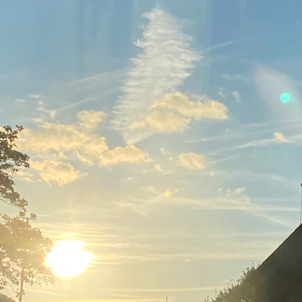 Afternoon sun over Totnes.