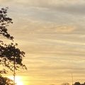 Sunset over Totnes. Morning Meditation: You cannot teach insight. Zen Graffiti