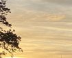 Sunset over Totnes. Morning Meditation: You cannot teach insight. Zen Graffiti