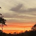 A seagull enjoying the evening sky over Totnes. Morning Meditation: The 'sermon of No Words' is a sermon not by exhortation, reasoning or threats but by example. Trevor Leggett