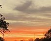 A seagull enjoying the evening sky over Totnes. Morning Meditation: The 'sermon of No Words' is a sermon not by exhortation, reasoning or threats but by example. Trevor Leggett