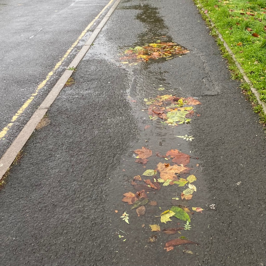 Puddles with Autumn leaves.
